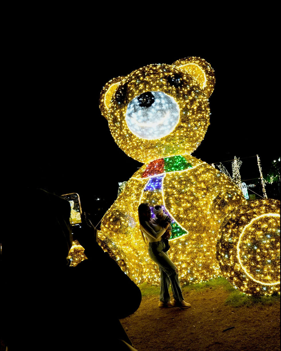 Join Orlando Mayor Buddy Dyer and help countdown the lighting of the Christmas tree at Lake Eola Park