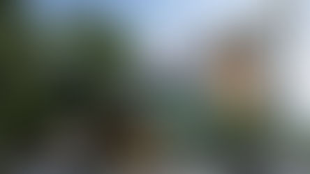 "Art Pollination: Building Food Justice Through Creativity" exhibition opens at Downtown Arts District 3rd Thursday