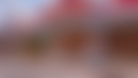 Little Saigon in Orlando’s Mills 50 District to close its doors forever on December 28