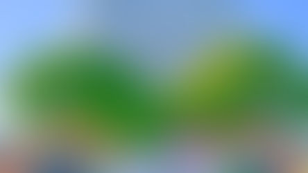 Eric Tan Previews 3 New Prints for 2023 EPCOT International Festival of the Arts