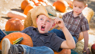 50+ Free and Cheap Things To Do in Orlando September 2024