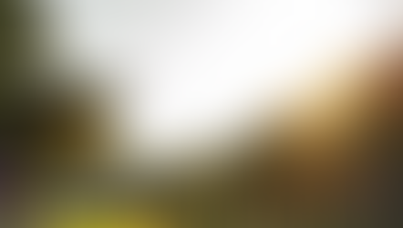 Orlando Fringe wraps up another highly successful year for the popular Central Florida festival