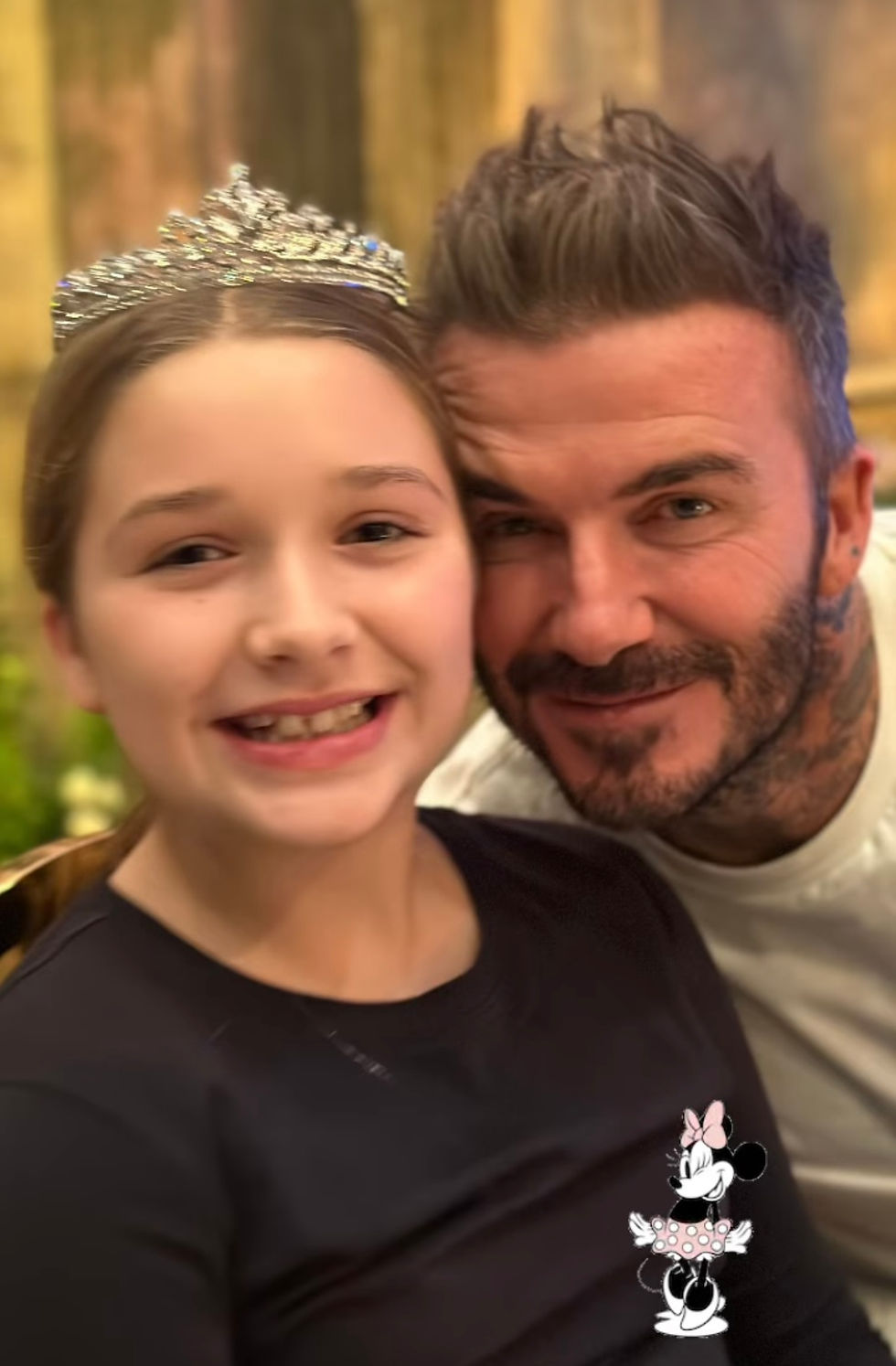 The Beckhams Enjoy A Visit To Walt Disney World And A Ride On It's A Small World