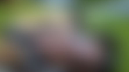 No more grilling at Disney! Open Flame Ban in effect now at Walt Disney World until further notice