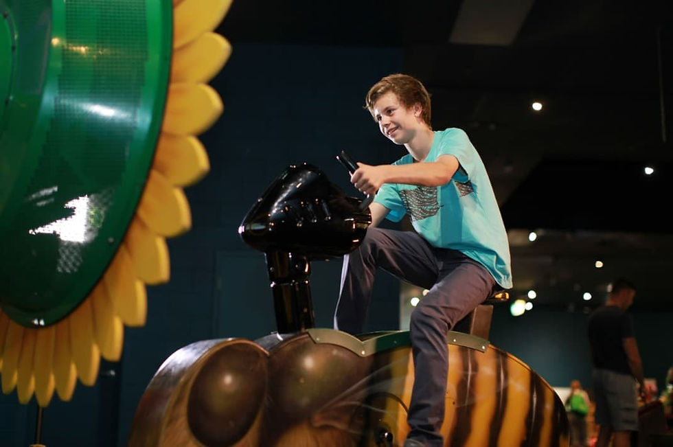 New exhibit, Backyard Adventures coming to Orlando Science Center