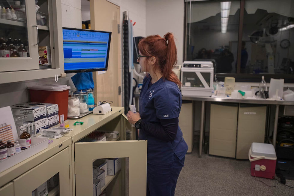 Get an “Inside Look”  at SeaWorld Orlando featuring all-new Behind-the-Scenes Animal Care Experiences