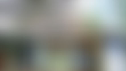 The 31st Florida Film Festival Is Happening Now!