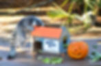 Boo At The Zoo returns to Brevard Zoo this Halloween season