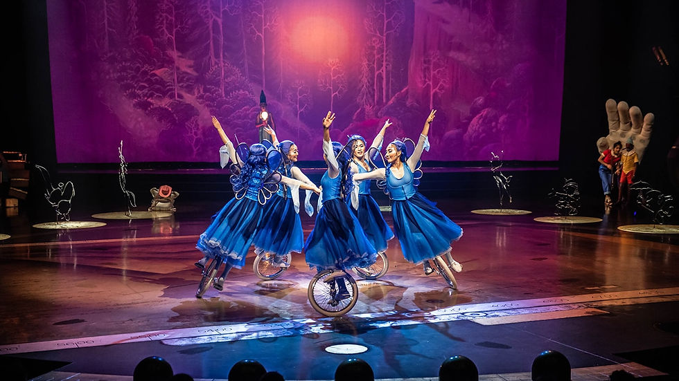 Drawn to Life Presented by Cirque du Soleil & Disney