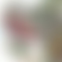 Attractions & Holiday Overlays Revealed For 2022 Mickey’s Very Merry Christmas Party