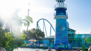 SeaWorld Orlando plan 2 On-Site Hotels, transitioning into true Theme Park Resort