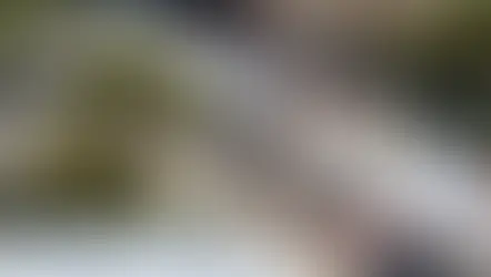 The Fall Festival of the Arts returns to DeLand showcasing over 160 artists, and fun for everyone