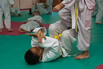 Dojo175.jpg