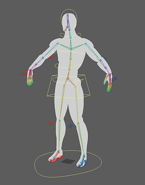 basic human rig