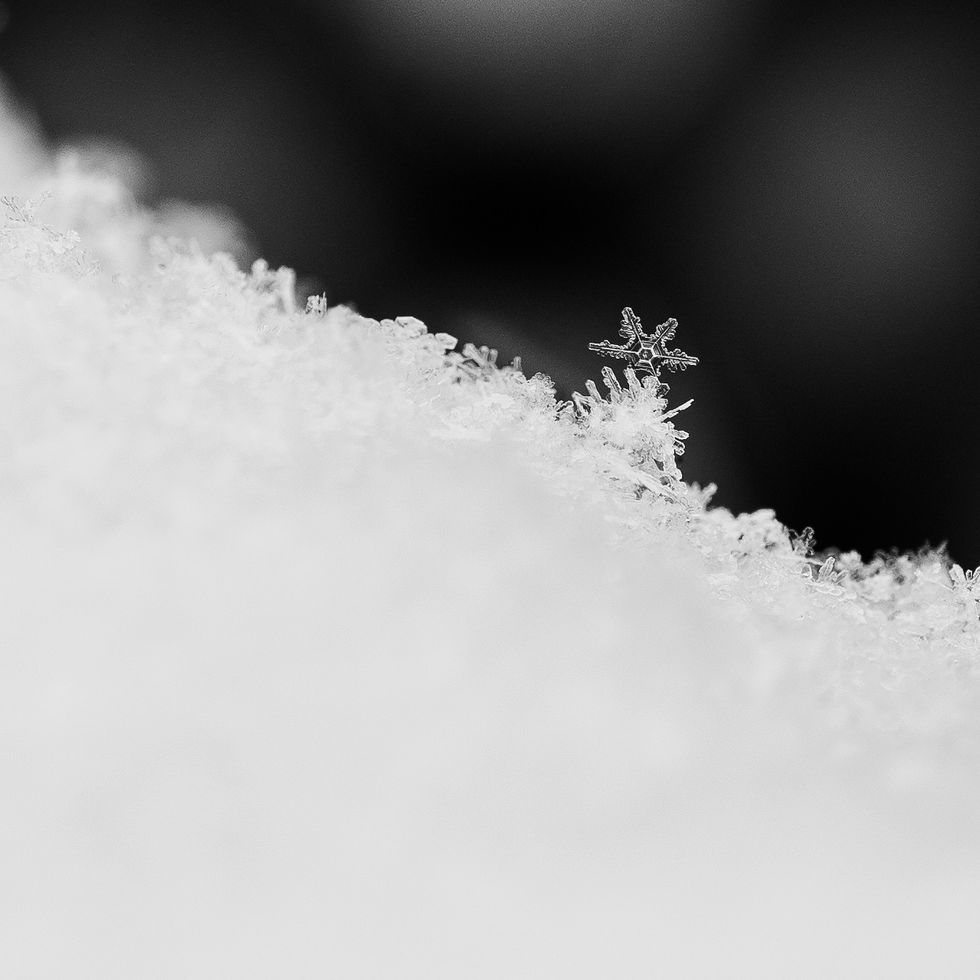 The littlest snowflake