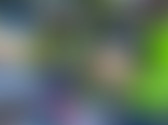 Dinuba Students Grow in Service Through Dinuba Spanish Church Food Bank