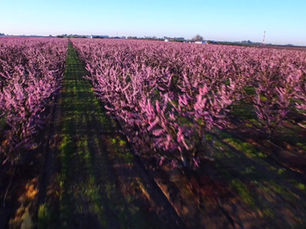 “Restoration Realized”: CCC 2025 Annual Report Video