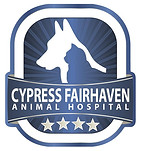 CFAH Logo3.jpg