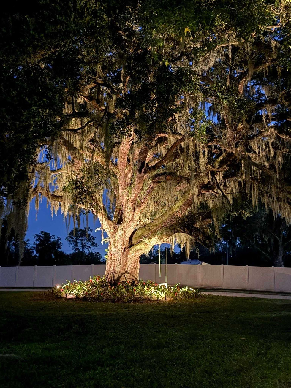 Миниатюра: Arise - 3 days Reset Retreat Option 2