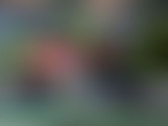 Eric Granado conquista vaga na primeira fila da MotoE em Le Mans