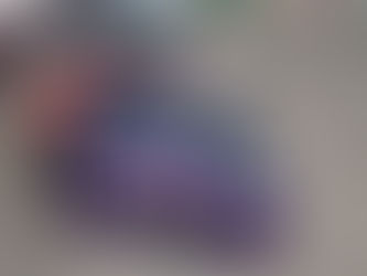 Bowman empurra Hamlin para vencer em Martinsville; finalistas definidos