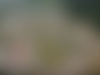 MotoGP – Sachsenring 2018