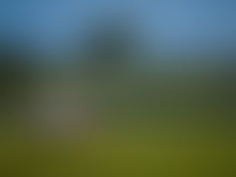 Barrichello, 250: bicampeão da Stock Car alcança marca emblemática no Uruguai