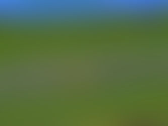 F1 – O fator clima