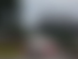 Dudu Barrichello se despediu da Stock Car; Rubens teve ano difícil