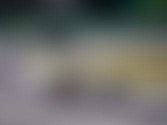 WEC – Toyota vence 6 Horas de São Paulo, e brasileiro Nicolas Costa é top-5 na LMGT3