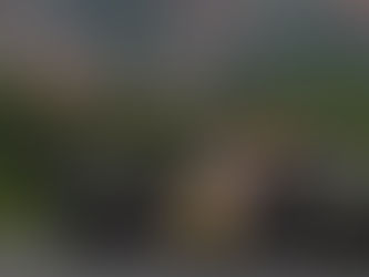 Verstappen explica por que teve pouca ação na Hungria