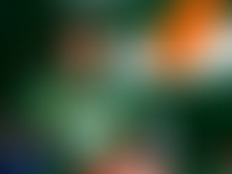 Rafael Suzuki aprova estreia no GT World Challenge Europa