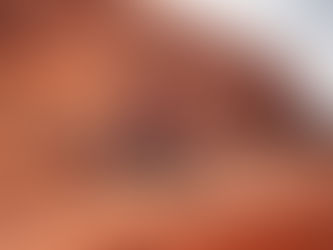 Rally Dakar 2025 – Festa no pódio e balanço positivo na Arábia Saudita