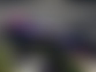 Felix Rosenqvist conquista a pole em Long Beach