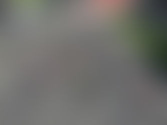 MotoGP revela calendário provisório de 2017