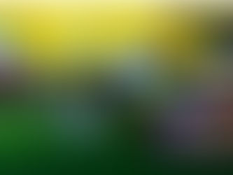 Aplicativo 1Win Brasil – opções de apostas e jogos de azar