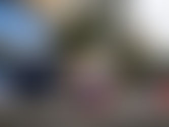 GP de Detroit, sétima etapa da Fórmula Indy, vai ao ar na tela da TV Cultura neste domingo (1/6)