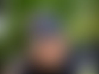 Perez defende a Red Bull: “Os fatos vão aparecer”