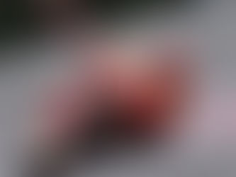 MotoGP – O fator Márquez e o início da temporada europeia