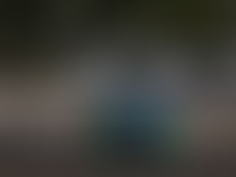 Stock Car retoma temporada 2025 com 31 SUVs em ação no Velocitta