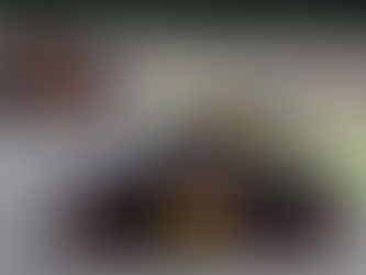 F1 – Melhor confiabilidade da Honda permite focar no desempenho