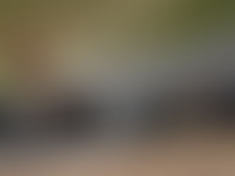 McLaren confirma análise de Verstappen sobre o MCL39