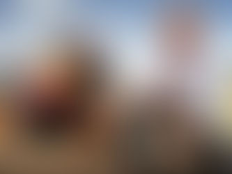 MotoGP – O melhor australiano?