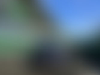 Porsche 911 GT2 RS Manthey: o mais rápido carro de rua original em Interlagos