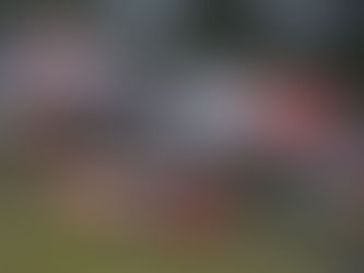 Gianluca Petecof troca da equipe na Stock Car em 2025