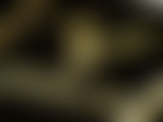 F1 – Boatos sobre a Haas esfriam, por enquanto