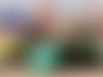 Baumgart e Andreotti completam o Dakar no pelotão de elite entre os carros