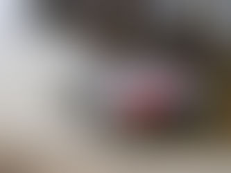 WRC: Ogier venceu com a TOYOTA GAZOO Racing em etapa finlandesa