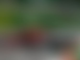 F1 – A supremacia do motor Ferrari em Monza