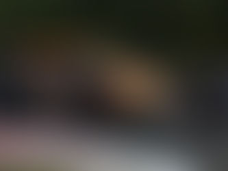 Norris lidera segundo treino com Piastri e Leclerc atrás